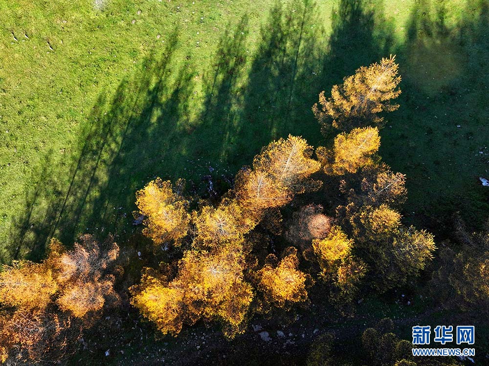 湖北恩施：秋染大山顶 构成一幅幅色彩斑斓的高山画卷