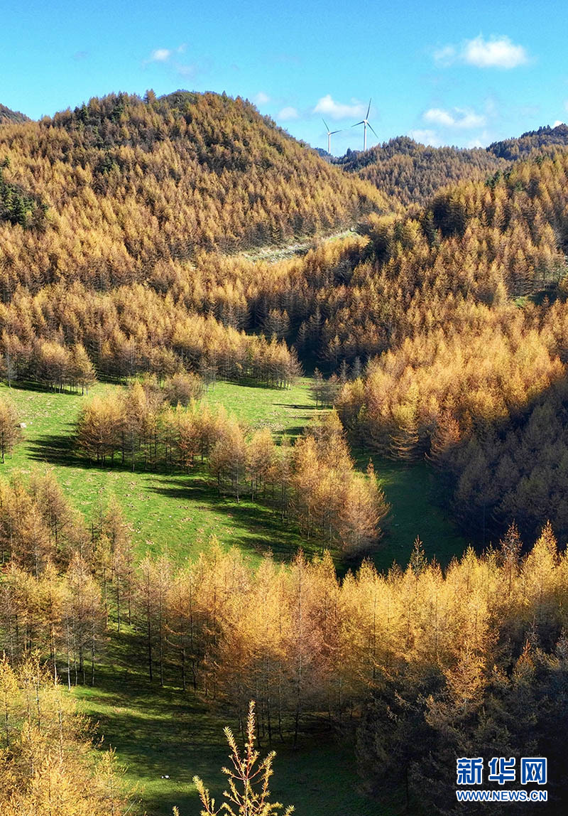 湖北恩施：秋染大山顶 构成一幅幅色彩斑斓的高山画卷