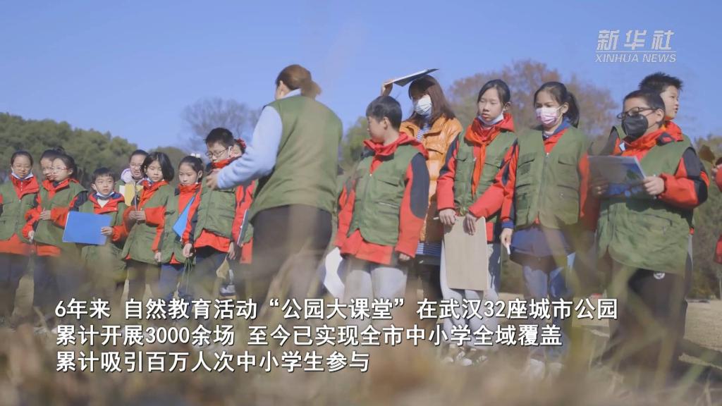 武汉：小微湿地户外课堂助力培养中小学生生态环保理念