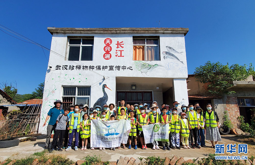 聚焦高质量发展丨人鸟和谐 湖北武汉江心岛变生态乐园