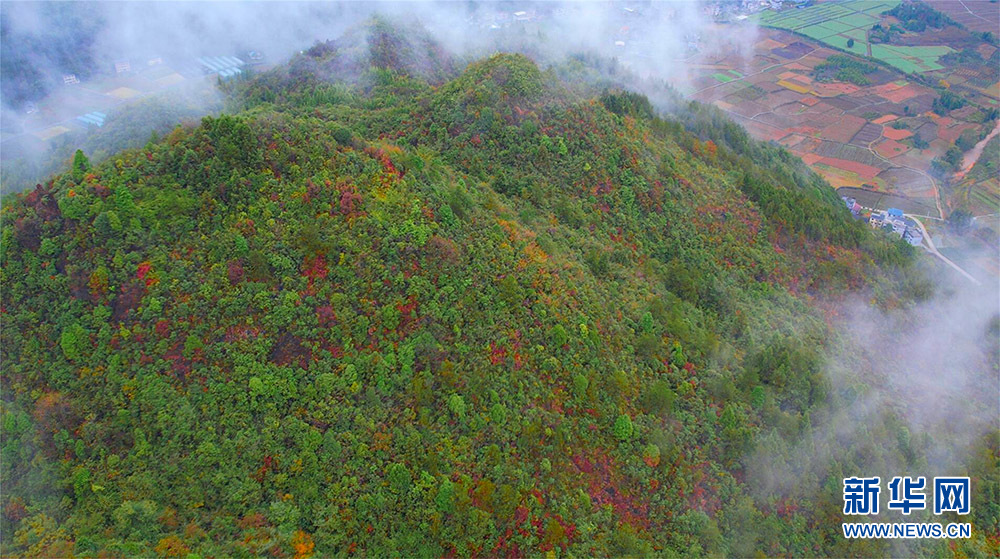 鄂西山村 烟雨画卷 山林村庄犹如盖上一层流动“面纱”