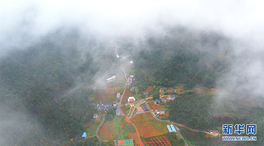 鄂西山村 烟雨画卷 山林村庄犹如盖上一层流动“面纱”