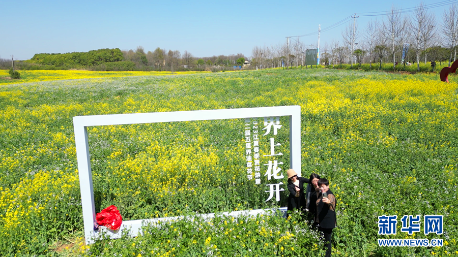 武汉江夏：亲清梁子湖 花香五里界 春季赏花游来了