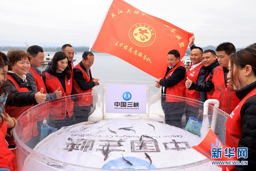 长江大保护志愿服务联盟在宜昌成立