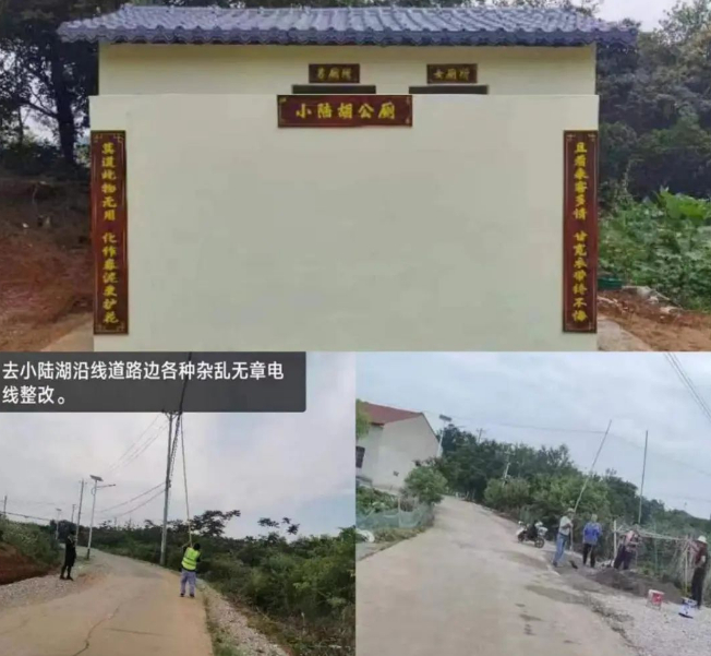 武汉江夏：村社联建开展“五微”行动助力乡村治理