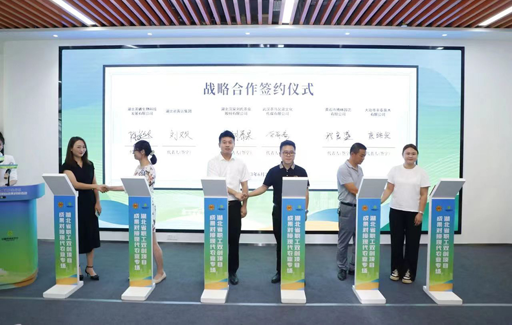 湖北省举办职工双创项目成果对接现代农业专场活动