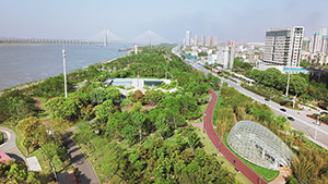 全景感受长江土堤变身生态防洪公园