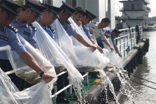 保護長江生態環境 １６萬尾魚苗在武漢被放流