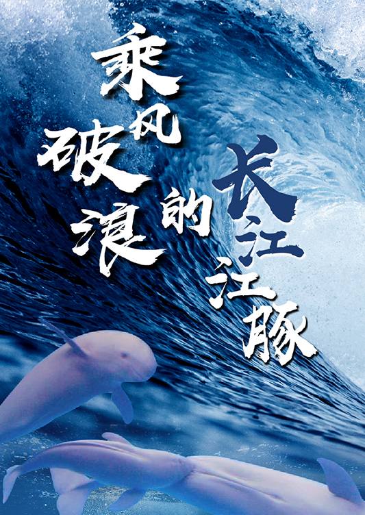 乘風破浪的長江江豚