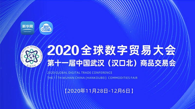 【新華雲直播】2020全球數字貿易大會開幕式