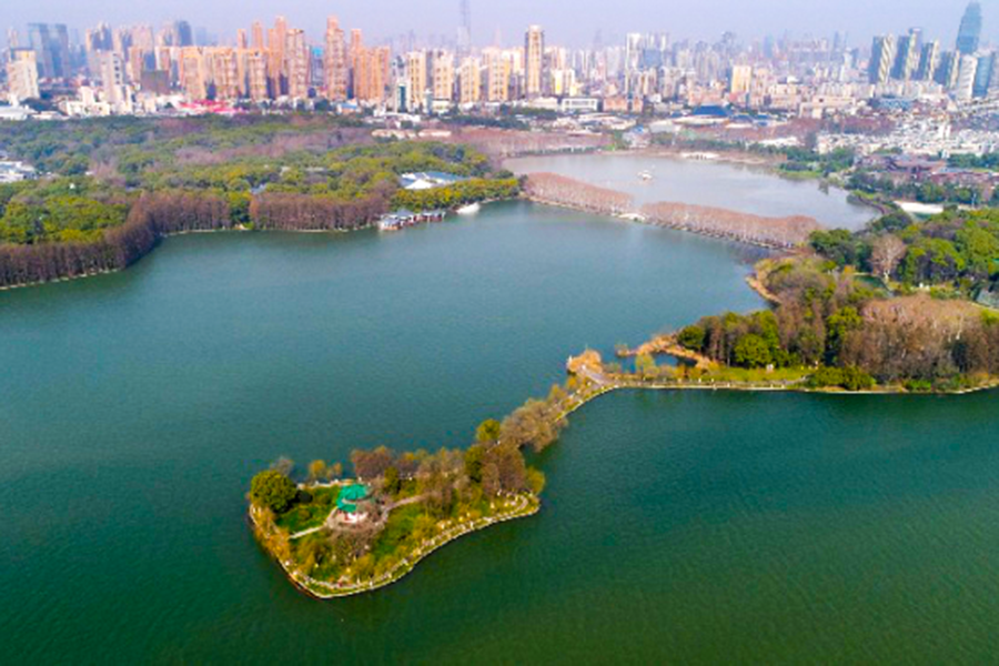 武漢：推動河湖水環境從“達標”向“健康”提升