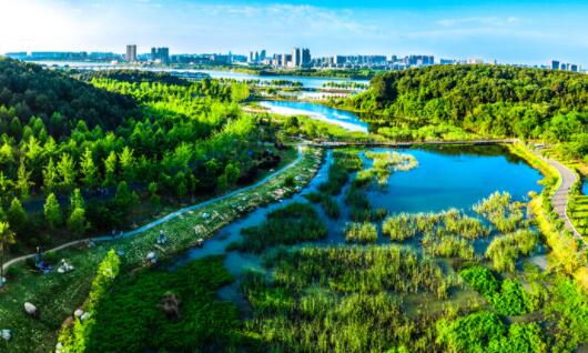 绿色生态、先进制造、创新发展——高质量发展武汉江夏路径