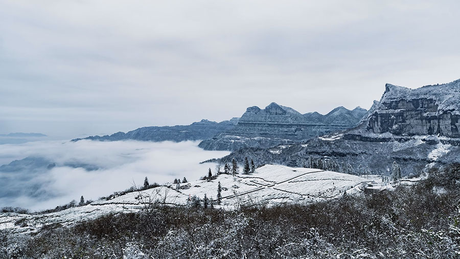 雪後二仙岩 雲翻霧卷的冰雪世界