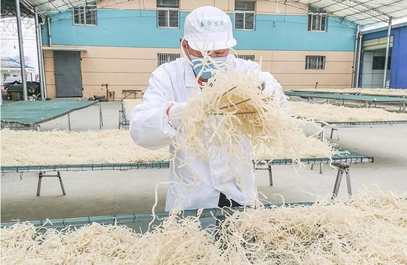 湖北應城：年關將至 豆皮生産忙