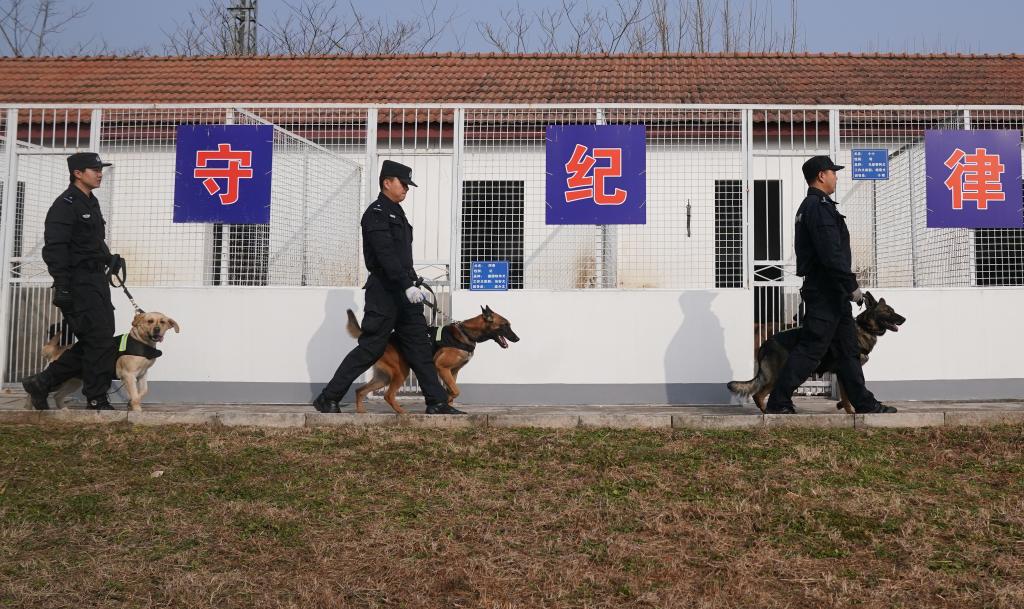 武汉：警犬训练备战春运