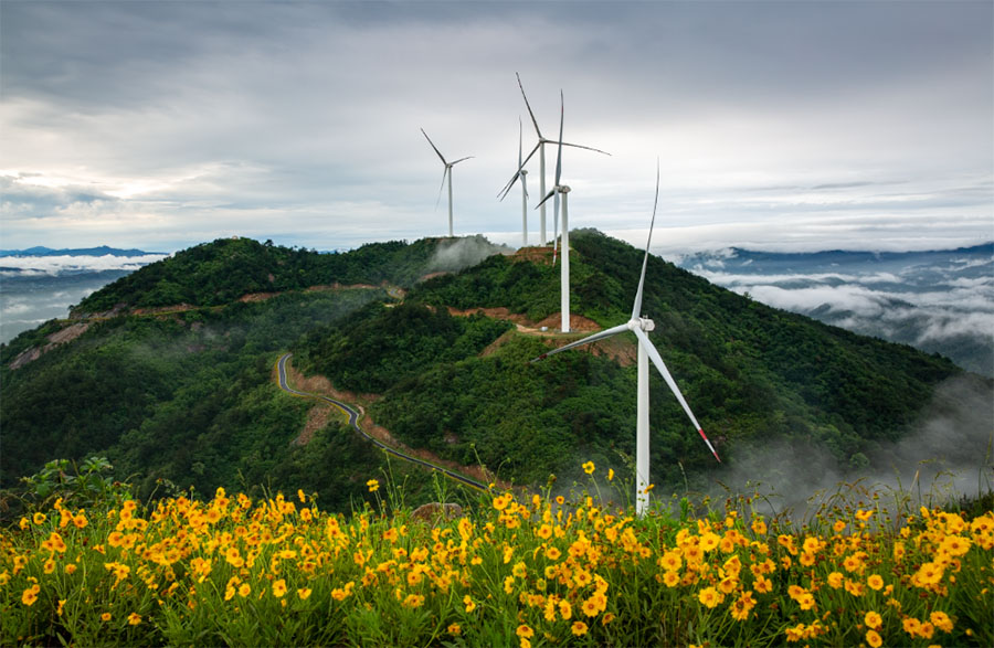 “风光”无限 湖北大悟“电力森林”释放绿色能量