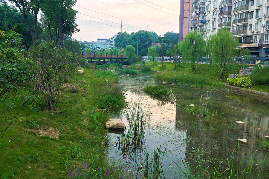 联通大东湖水系 青山港构建城市生态绿肺