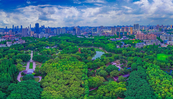 聚焦高质量发展 | 武汉：守护家门口的绿岛 让市民共享生态福祉