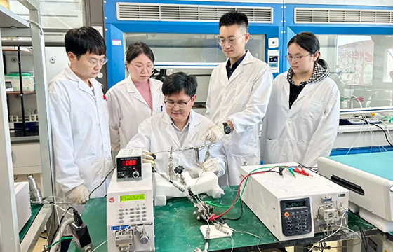華中大科研團隊探索出醋酸“零碳”制造新技術