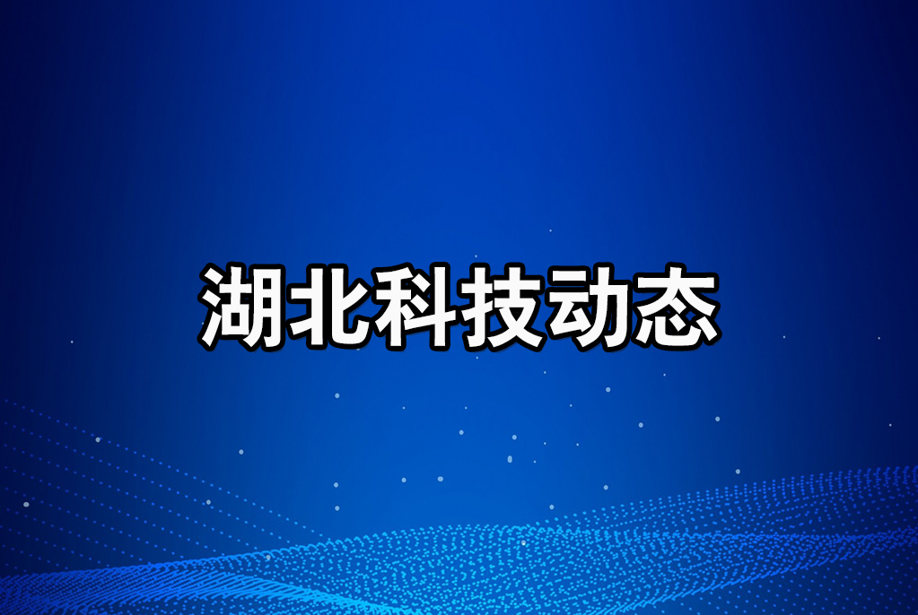 武漢市科技局召開2023年第二季度全市科技工作推進會